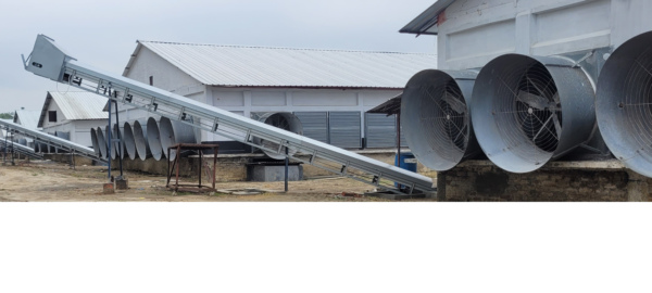Manure Removal System - Image 2