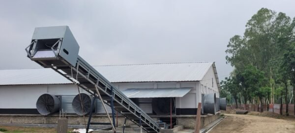 Manure Removal System - Image 3